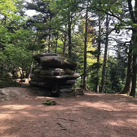 Privat bolig Chez Dina Lutzelhouse