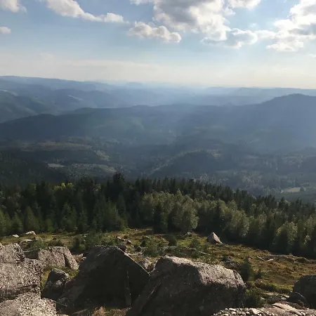 Chez Dina Lutzelhouse