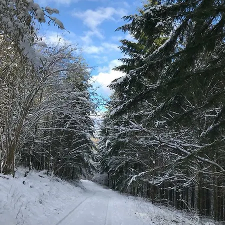 Chez Dina Quarto em Acomodações Particulares Lutzelhouse