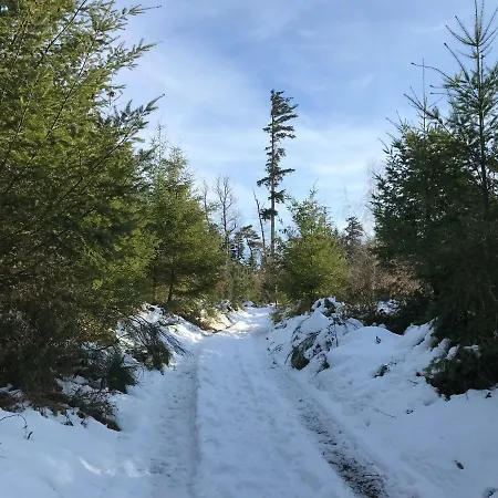 Chez Dina Lutzelhouse